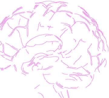 Crazy-Brain Labs